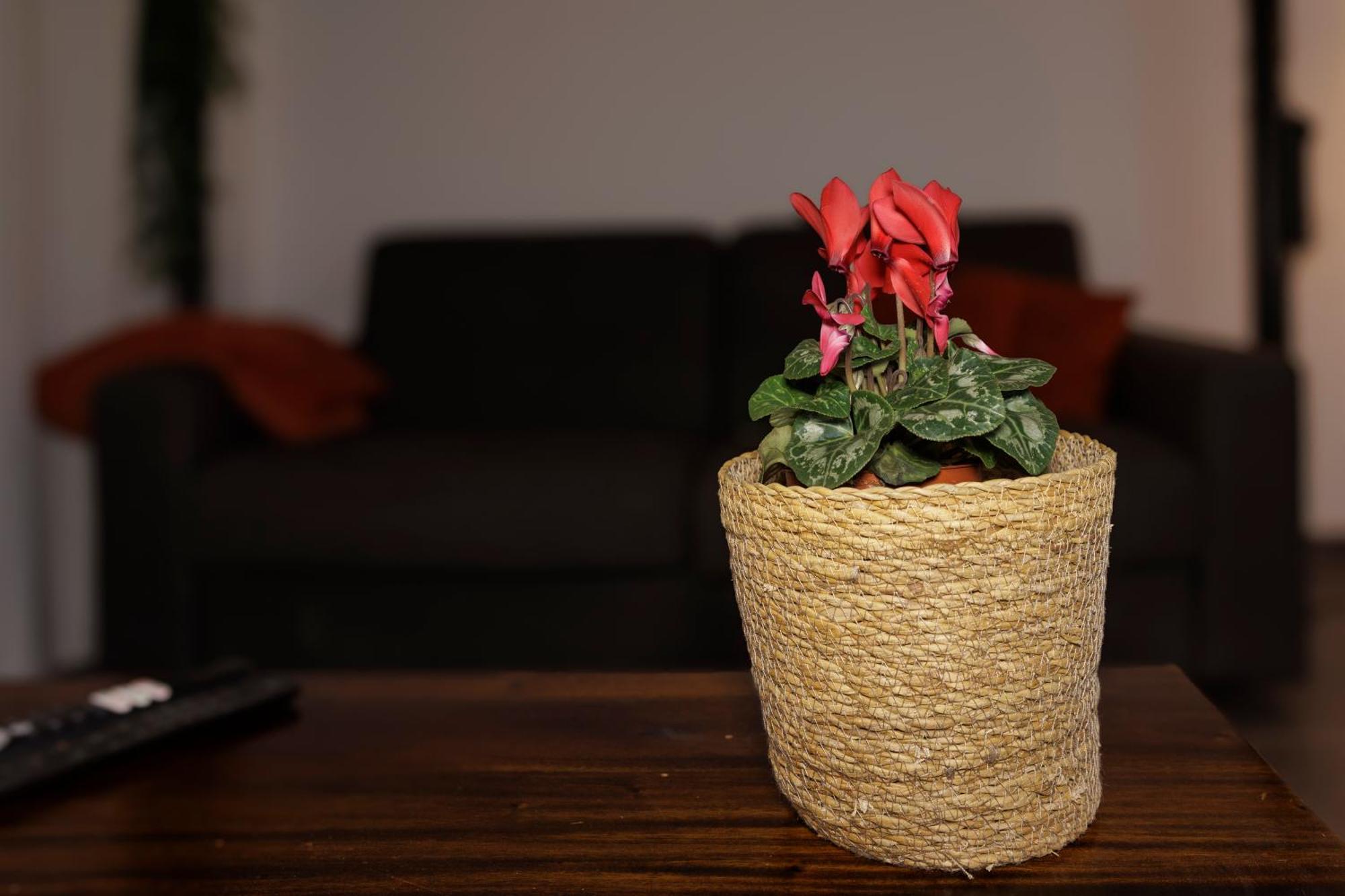 Manhattan Loft - Centre - 5 Mn A Pied Gare - Parking Prive - Patio 트루아 외부 사진